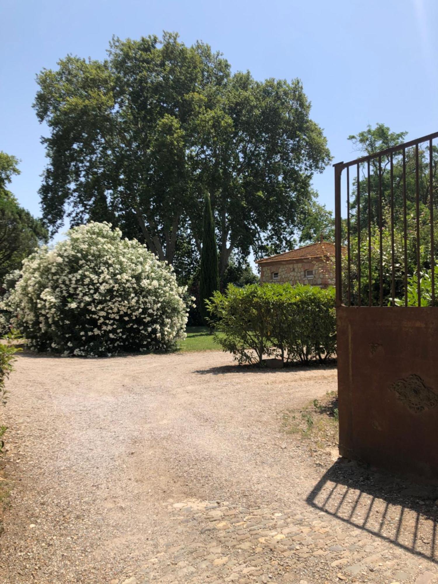 Gite Superbe L'Ecurie Xixeme Sallèles-dʼAude Exterior foto